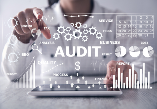 dfw-it audit management
