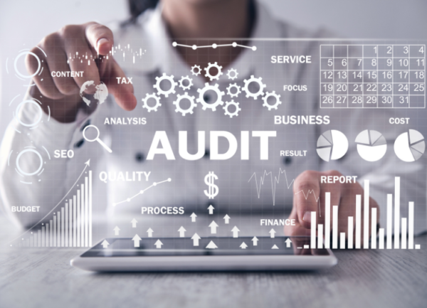 dfw-it audit management